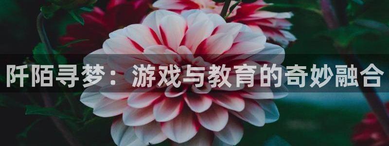 天美娱乐注册地址：阡陌寻梦：游戏与教育的奇妙融合