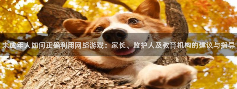 天美娱乐代理登陆：未成年人如何正确利用网络游戏：家长、监护人