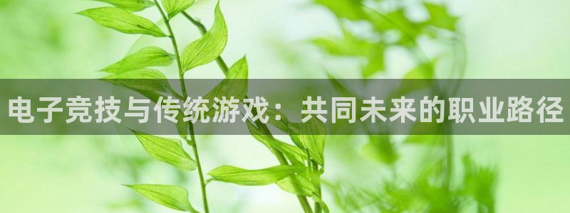 天美娱乐注册测速：电子竞技与传统游戏：共同未来的职业路径