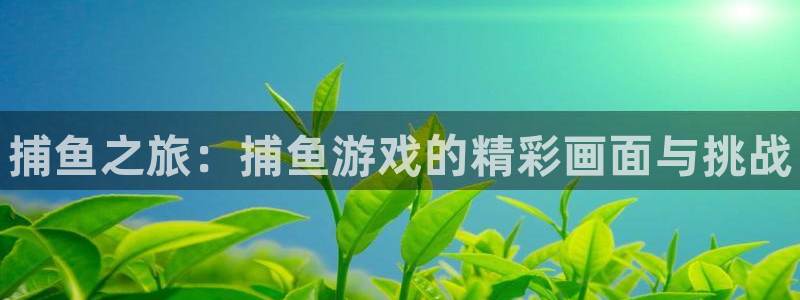 天美娱乐4招商：捕鱼之旅：捕鱼游戏的精彩画面与挑战