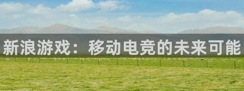 天美娱乐娱乐是真的吗：新浪游戏：移动电竞的未来可能