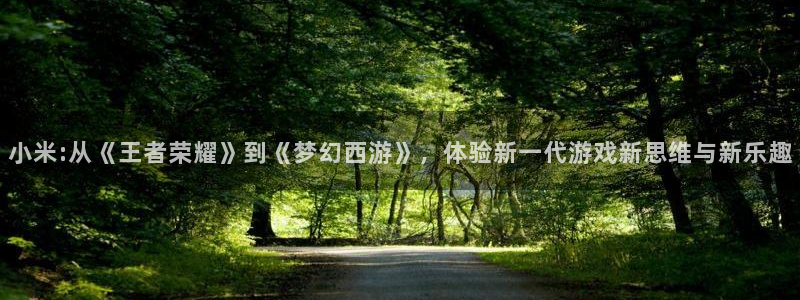 天美娱乐app下载：小米:从《王者荣耀》到《梦幻西游》，体验