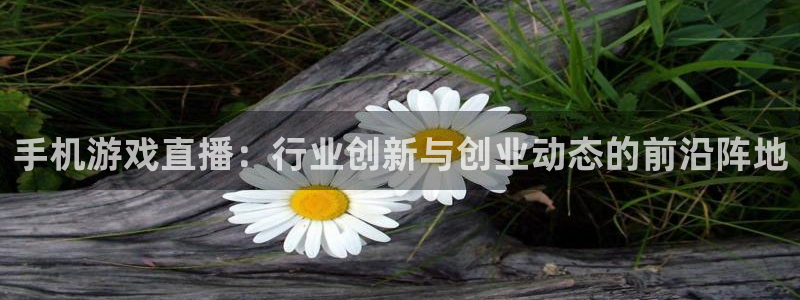 天美娱乐怎么注册：手机游戏直播：行业创新与创业动态的前沿阵地