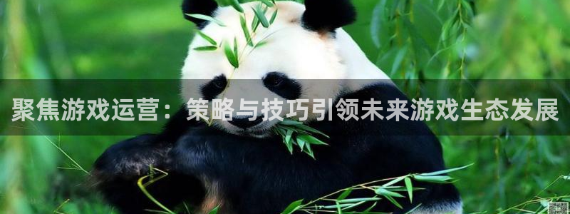 天美娱乐网址注册：聚焦游戏运营：策略与技巧引领未来游戏生态发